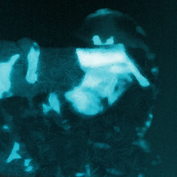 Icecore artist image