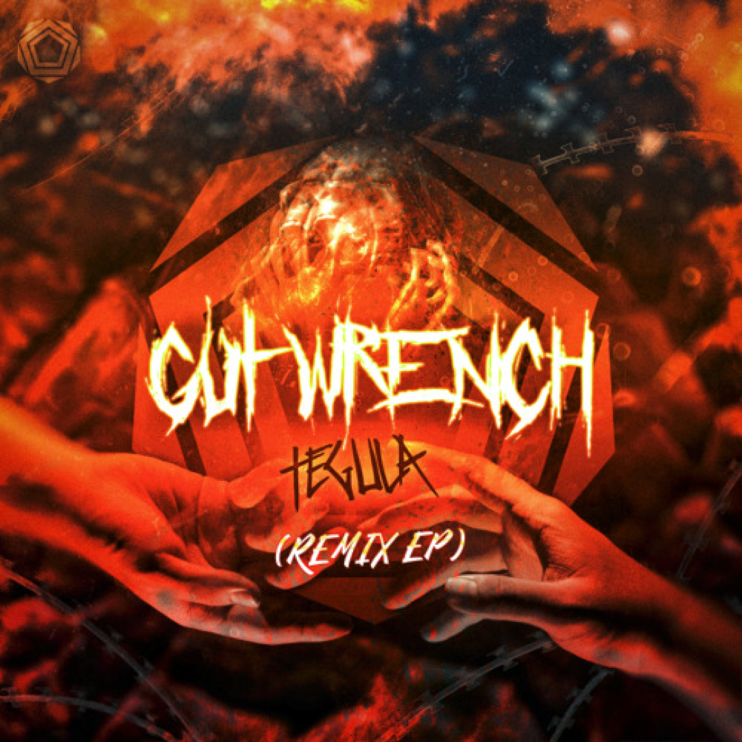 GUT WRENCH (Czyser Remix) cover image