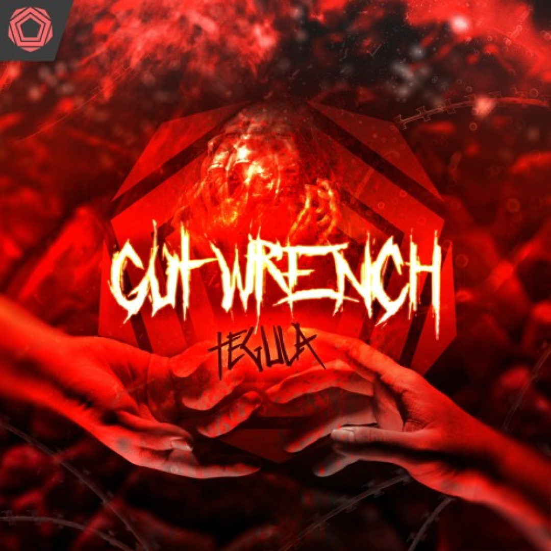 GUT WRENCH cover image
